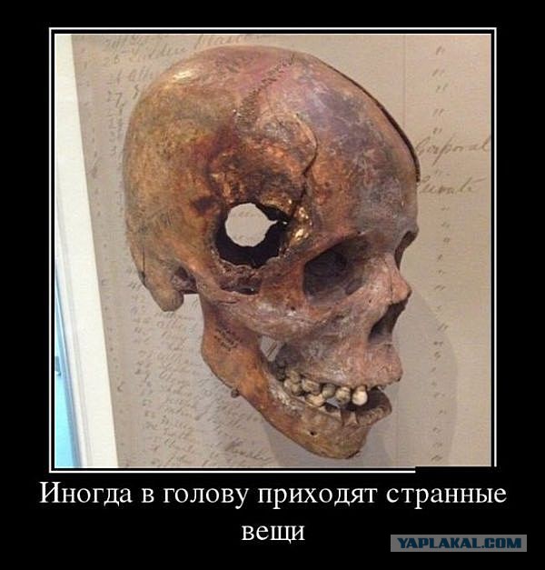 Подборка демотиваторов