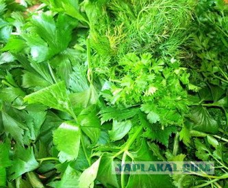 Карьера беженца. Финал