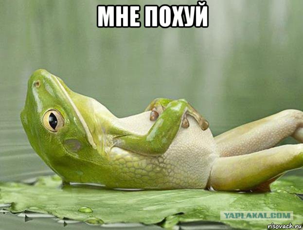 Нестандартный ЯПовчанин, привет Олеся!
