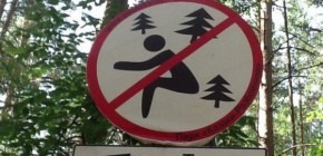 Народные перлы