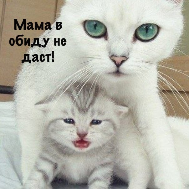 Картинки разные с просторов