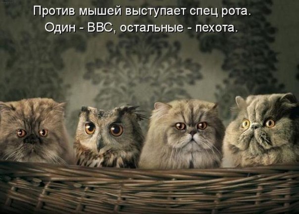 Немного картинок