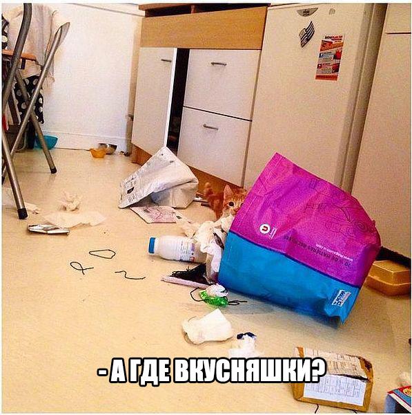 Всяко - разно...картинки