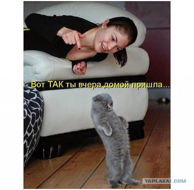 Пьяные поступки, которые трудно понять на утро
