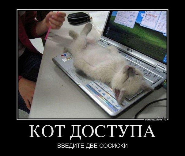 Подборка картинок из сети