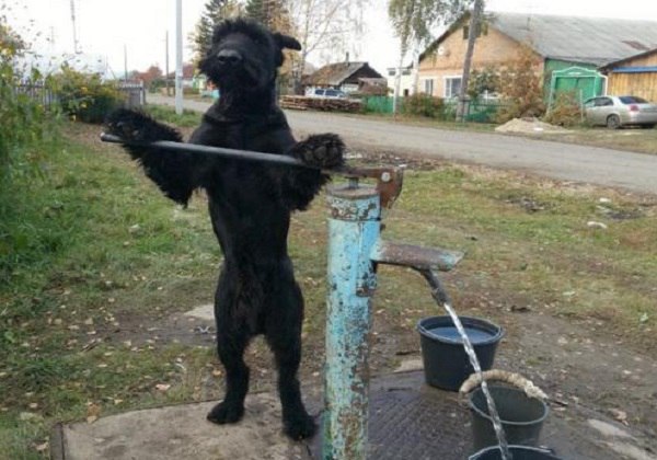 Подборка картинок на среду