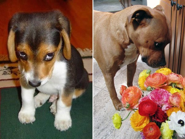 Подборка картинок на среду