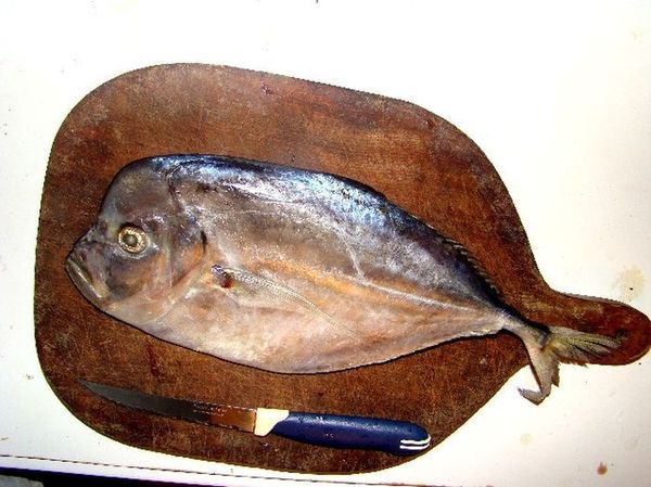 Из чего делают популярные рыбные закуски к пиву