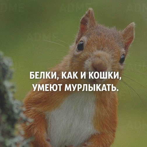 Интересные и веселые картинки