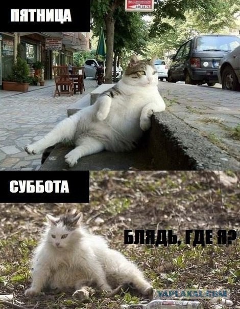 Пятничный алкотрэш и немного чернухи