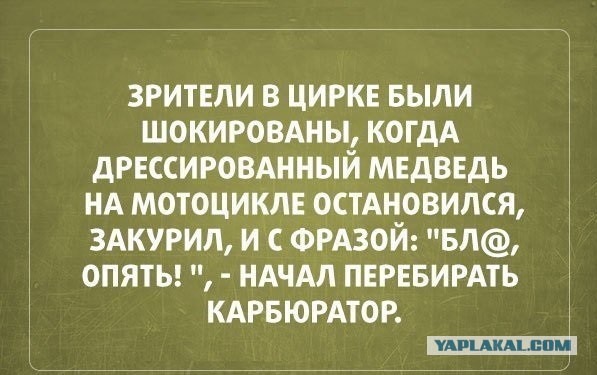 Подборка веселых картинок с тырнета