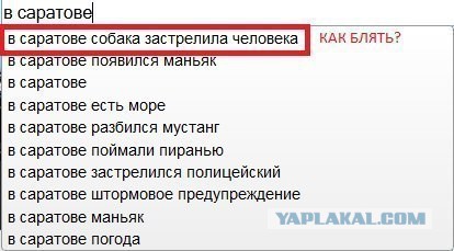 Я понятия не имею, что здесь происходит