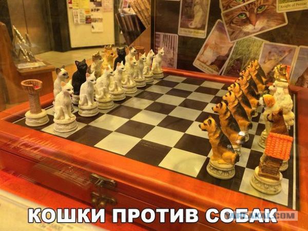 Юмор не для всех