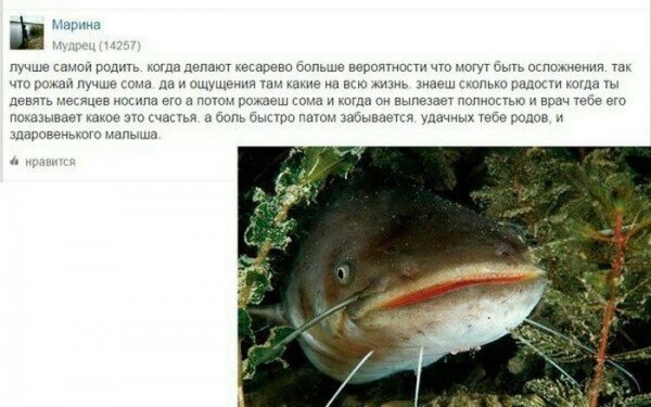 Граммар-наци вход воспрещён.