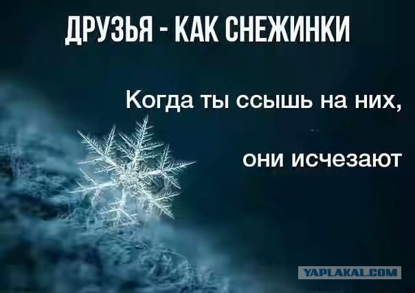 День открытых дверей в палате №6