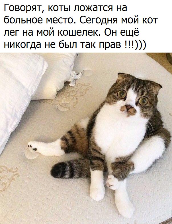 Фото-коктейль...