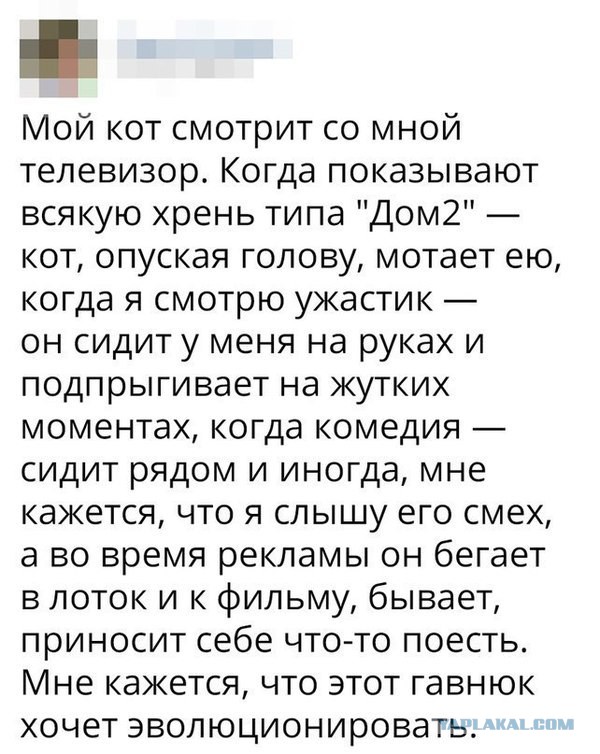 Смешные комментарии из социальных сетей 26.05.2017