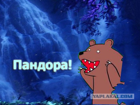 Движняк на Ростовском рынке
