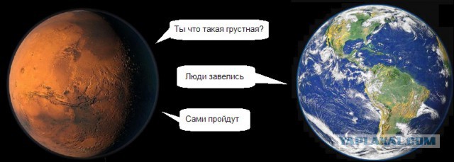 Животный мир Чернобыльской Зоны Отчуждения.