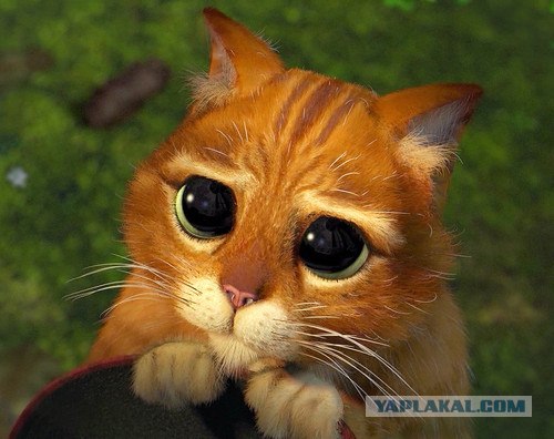 Вот так и рождаются мифы про домовых