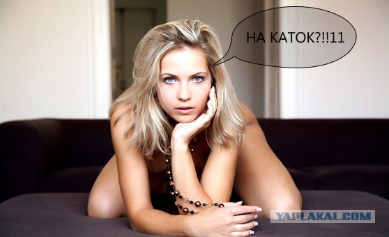 Как я встретил этот год...