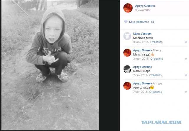 Чудики из социальных сетей
