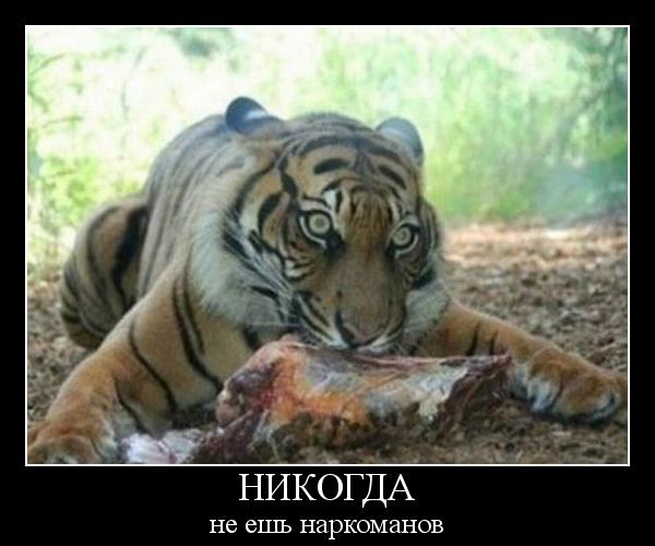 Наркоманских анекдотов с картинками