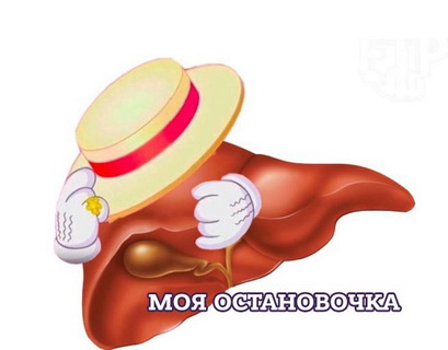 Я пью, и значит, я живу