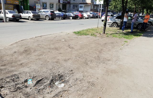 В Челябинске парень облагородил газон возле дома на свои средства