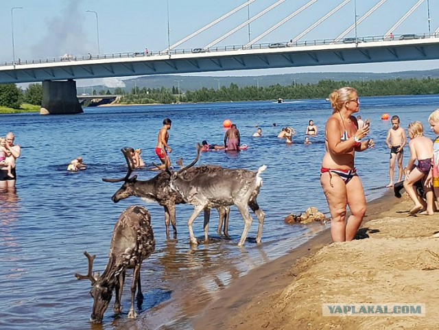Подборка картинок. Забавных, прикольных - разных!