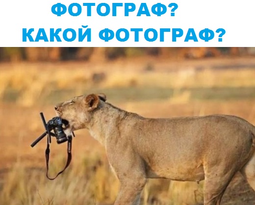Большая подборка картинок на вечер