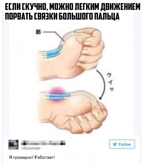 Немного веселых картинок из этих наших интернетов