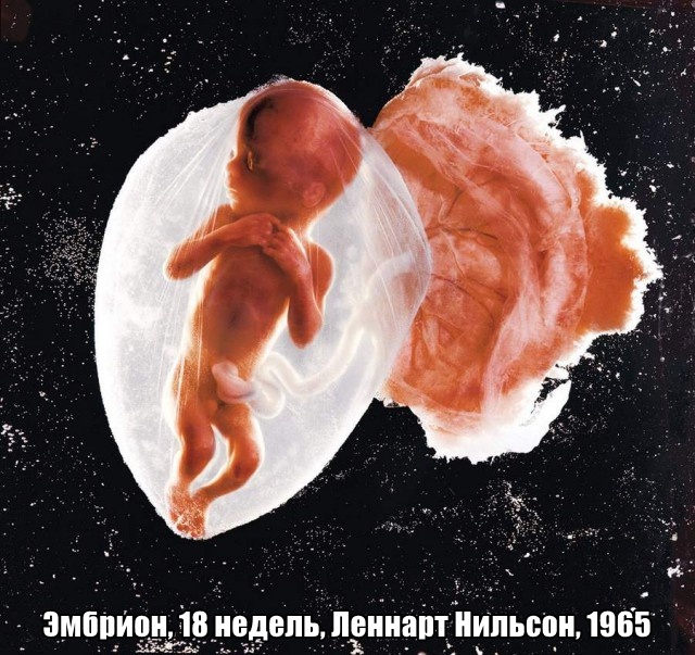 Картинки понедельника