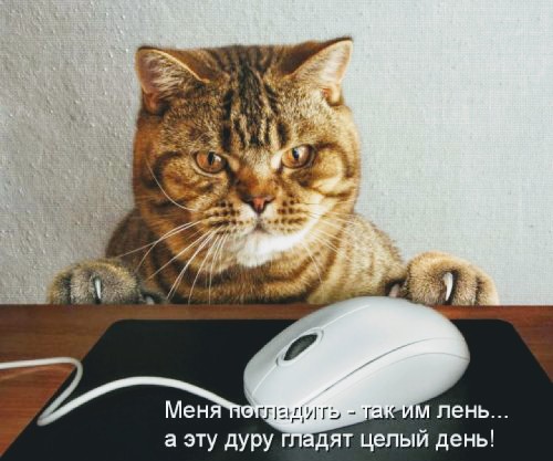 Немного картинок в эту субботу