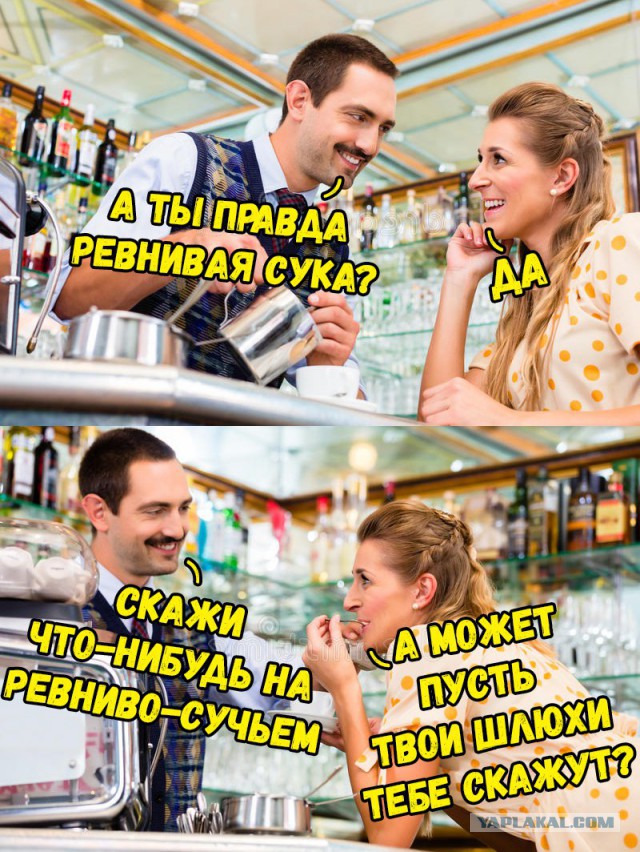 Куда катится жизнь