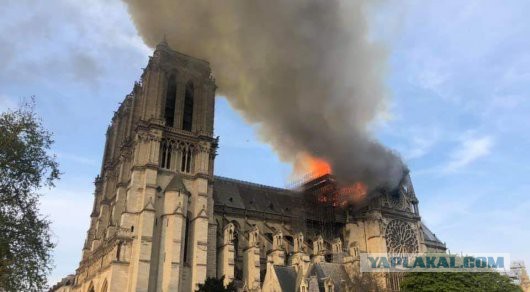 ⚡️В Соборе Парижской Богоматери произошёл пожар - AFP