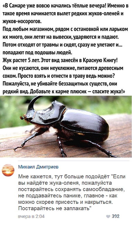 Прикольные комментарии и высказывания из Сети