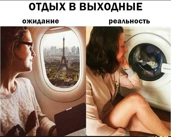 Применим физику в постели или белка и стрелка. Картинки