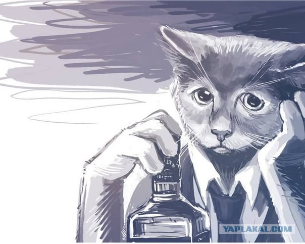 Я живу на Мальте уже 13 лет, но есть вещи, которые не перестают меня удивлять