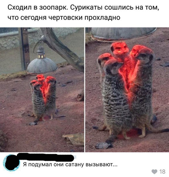 Всем хорошего настроения с картинками