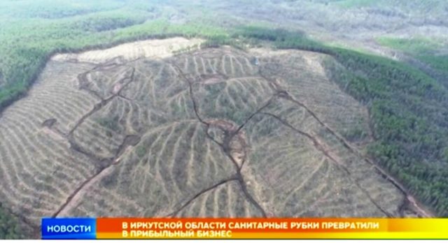 Просим помощи у ЯП-сообщества! Администрация Петрозаводска уничтожает красивейший парк "Каменный Бор"!