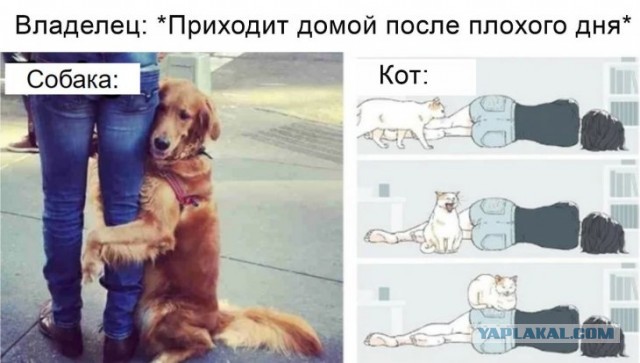 Немного картинок для настроения 12.03.20