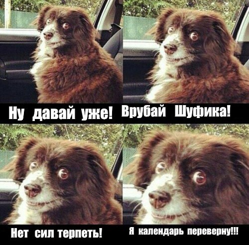 Я карантин...