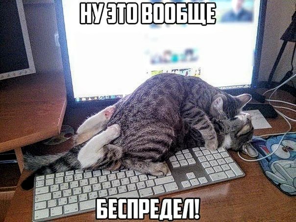 Немного картинок для настроения 20.04.20