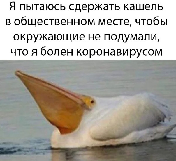 Немного картинок для настроения 22.05.20