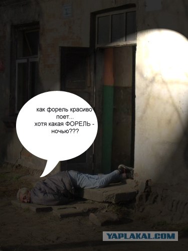 Фотожаба: Последний путь самурая