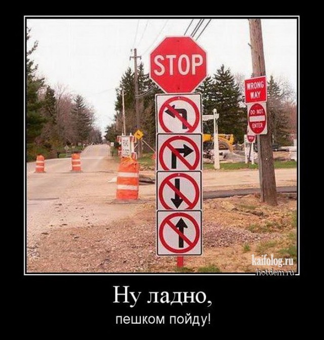 Так себе картинки 21.06.20