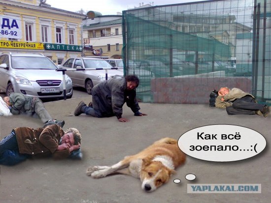Лучший друг человека.... или наоборот!?