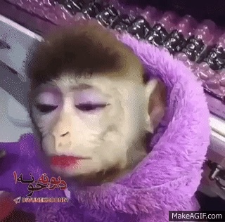 Интервью девушек