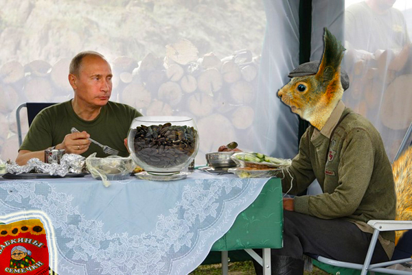Фотожаба: Бельчонок